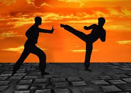 Martial artists at sunset